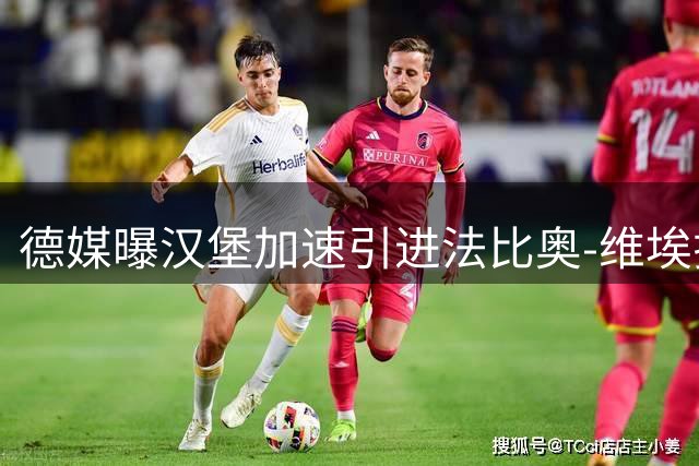 德媒曝汉堡加速引进法比奥-维埃拉 高层赴英谈判